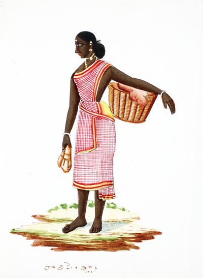 Lavandaia da Indian School