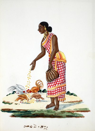 Donna che nutre le galline da Indian School