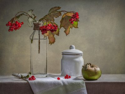  da Inna Karpova