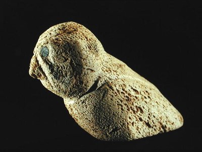 Pernice Bianca, da Cape Dorset da Inuit School