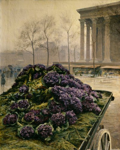 Violette di Nizza, 1902 da Iosiph Evstafievich Krachkovsky