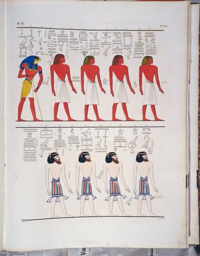 Le diverse specie di uomini conosciuti dagli Egiziani, raffigurati nella Tomba di Menphtah I, illustrazione da 