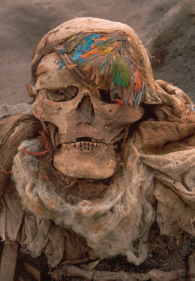 Uno scheletro recentemente dissotterrato che indossa un copricapo di piume, segno di alto status, 2001 (foto) da Ira Block