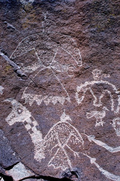Incisioni di arte rupestre Anasazi trovate nel New Mexico da Ira Block