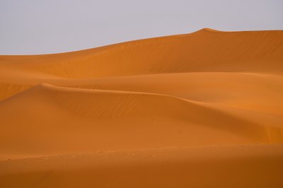 Dune di sabbia di Erg Chebbi, Deserto del Sahara in Marocco, 2022 (foto) da Ira Block
