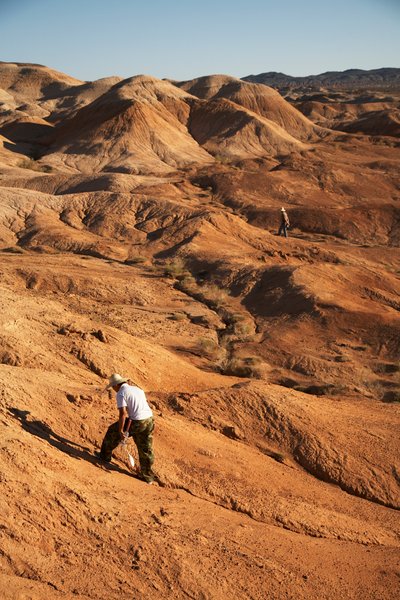 Scene intorno a Wu Cai Wan nel deserto del Gobi, Xinjiang, Cina occidentale, 2007 (foto) da Ira Block