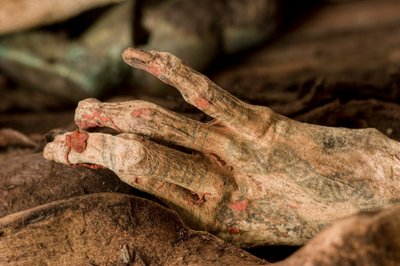 Il corpo della mummia rivelato mostra pelle ben conservata e tatuaggi sulle mani e sulle braccia. Si è determinato che la mummia era femmina, cosa molto insolita a causa dei precedenti 