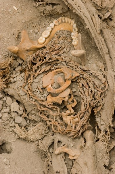 I resti del sacrificio femminile, 2005 (foto) da Ira Block