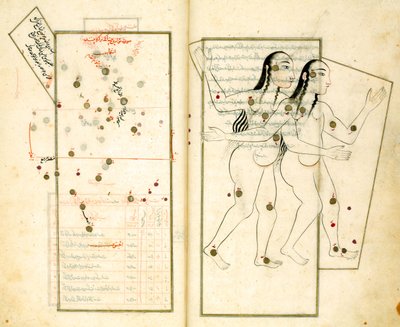 La Costellazione dei Gemelli dal Libro delle Stelle Fisse di Al-Sufi da Iranian Master