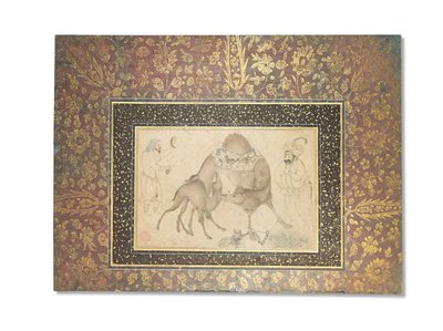 Un cammello e il suo vitello, Iran safavide, 1650-1700 da Iranian School