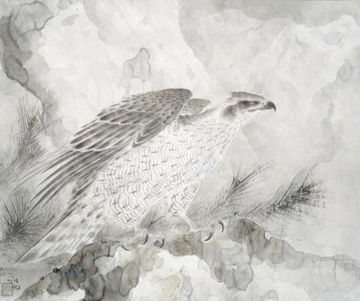 Falco da Irie Hako