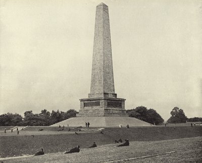 Il Testimonial di Wellington, Phoenix Park (foto in bianco e nero) da Irish Photographer