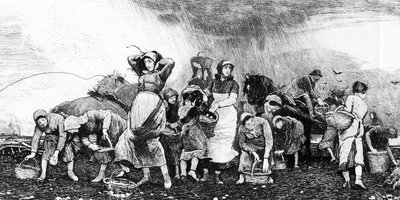 Raccolta delle patate, c.1870 da Irish School