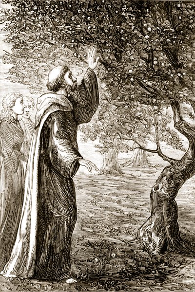 San Columba trasforma frutti amari in dolci, da The Trias Thaumaturga, o Tre santi miracolosi d