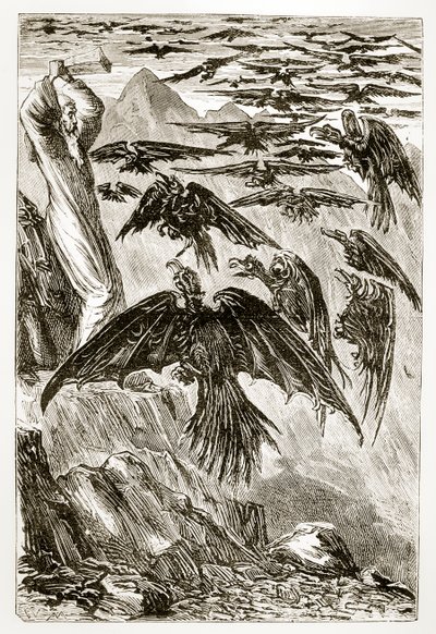 San Patrizio e gli uccelli demoniaci, da The Trias Thaumaturga, o Tre santi miracolosi d