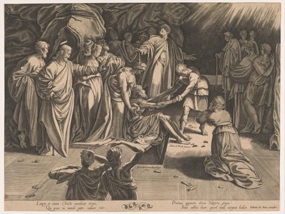 Resurrezione di Lazzaro da Isaac Duchemin