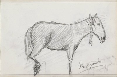 Cavallo da Isaac Gosschalk