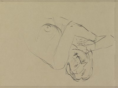Nudo femminile reclinato da Isaac Israels