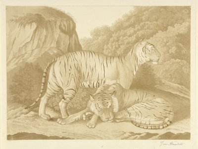 Due tigri in un paesaggio da Isaac van Haastert (signed by artist)