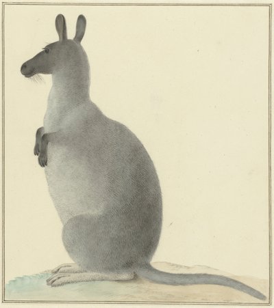 Canguro da Isaac van Haastert