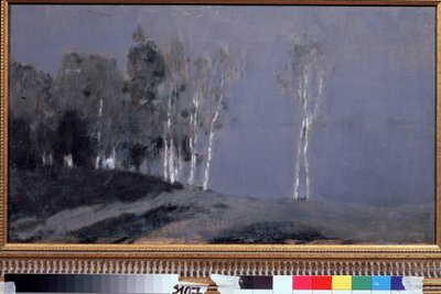 Notte illuminata dalla Luna da Isaak Ilyich Levitan