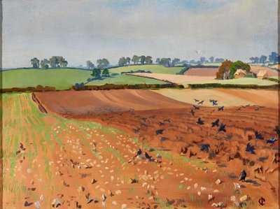 Campo arato da Isabel Codrington