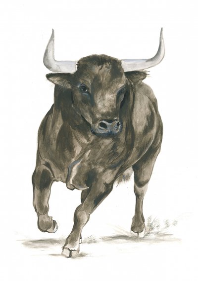 Potenza di un toro all