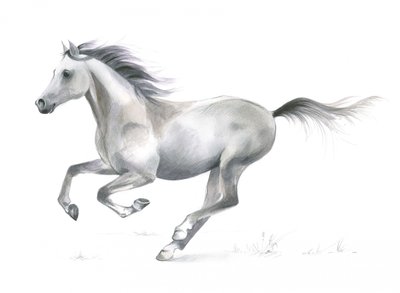 Grazia dinamica di un cavallo al galoppo da Isabelle Brent