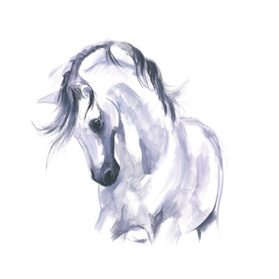 Studio di cavallo in movimento da Isabelle Brent
