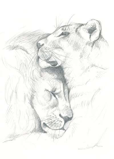 Serenità del leone da Isabelle Brent