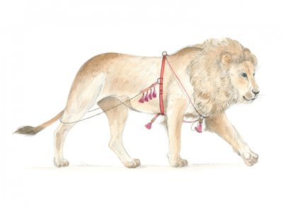 Leone con finimenti da Isabelle Brent
