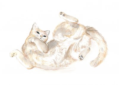 Gatto giocherellone da Isabelle Brent