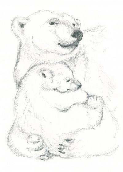Disegno di orso polare e cucciolo da Isabelle Brent