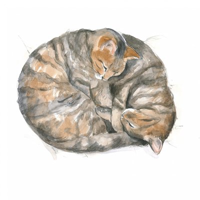 Gatti rotondi da Isabelle Brent