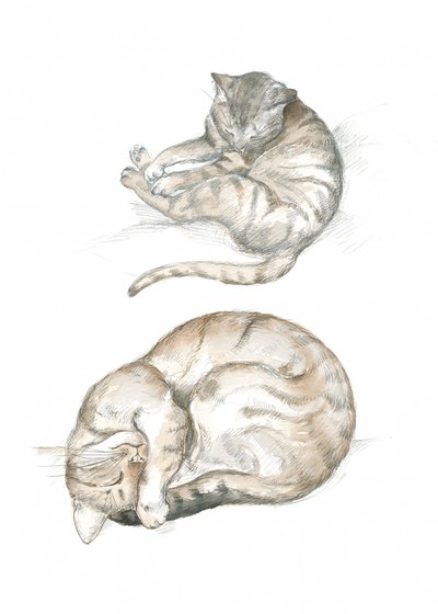 Due studi di gatti da Isabelle Brent