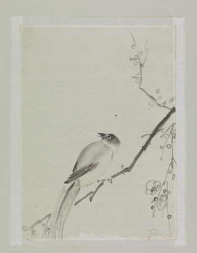 Uccello su un ramo di ciliegio da Ishikawa Kazan