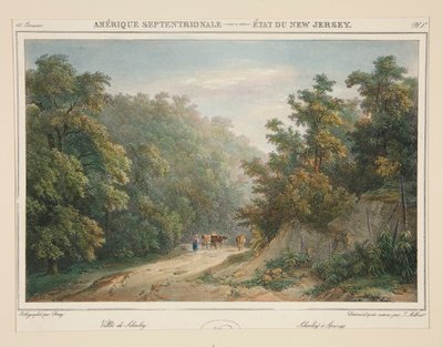 America Settentrionale - Stato del New Jersey. N. 49, tav. 1 da Isidore Laurent Deroy