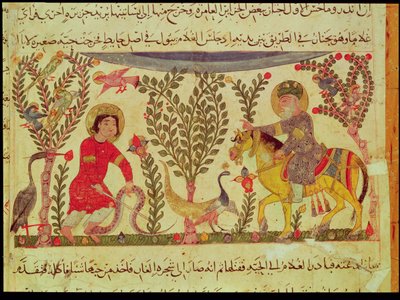 Un dottore che assiste un uomo morso da un serpente, manoscritto da un trattato di Dioscoride, XIII secolo da Islamic School