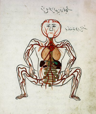 Medicina araba: 