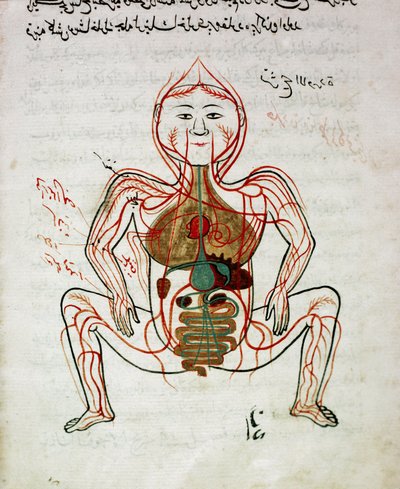 Medicina araba: 