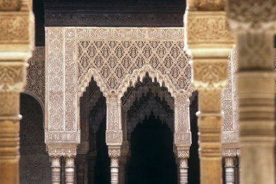 Dettaglio degli archi nel Cortile dei Leoni da Islamic School