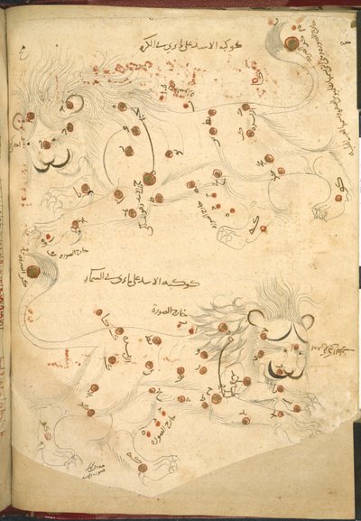 Or 5323 f.45v Due leoni, illustrazione da 