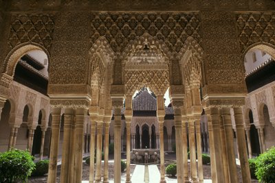 Il Cortile dei Leoni da Islamic School