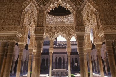 Il Cortile dei Leoni da Islamic School