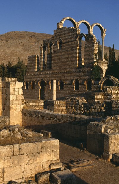 Vista del palazzo, Periodo Omayyade (661-750) da Islamic School