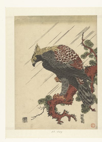 Aquila su ramo di pino sotto la pioggia da Isoda Koryusai