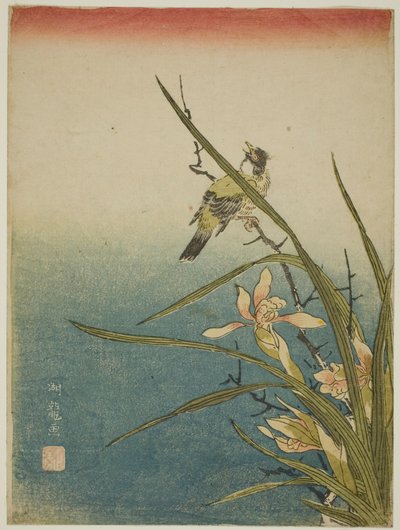 Orchidea e Uccello da Isoda Koryusai