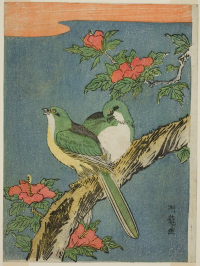 Due uccelli su un albero di ibisco da Isoda Koryusai