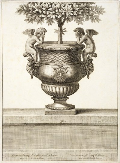 Urne di bronzo usate per alberi di agrumi, illustrazione da 