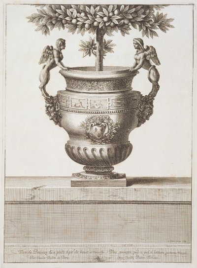 Urne di bronzo usate per alberi di agrumi, illustrazione da 